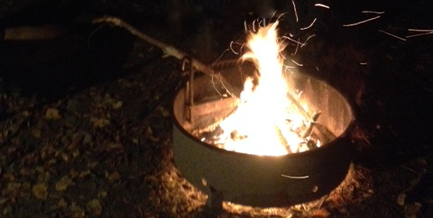 Campfire to toast brown bread