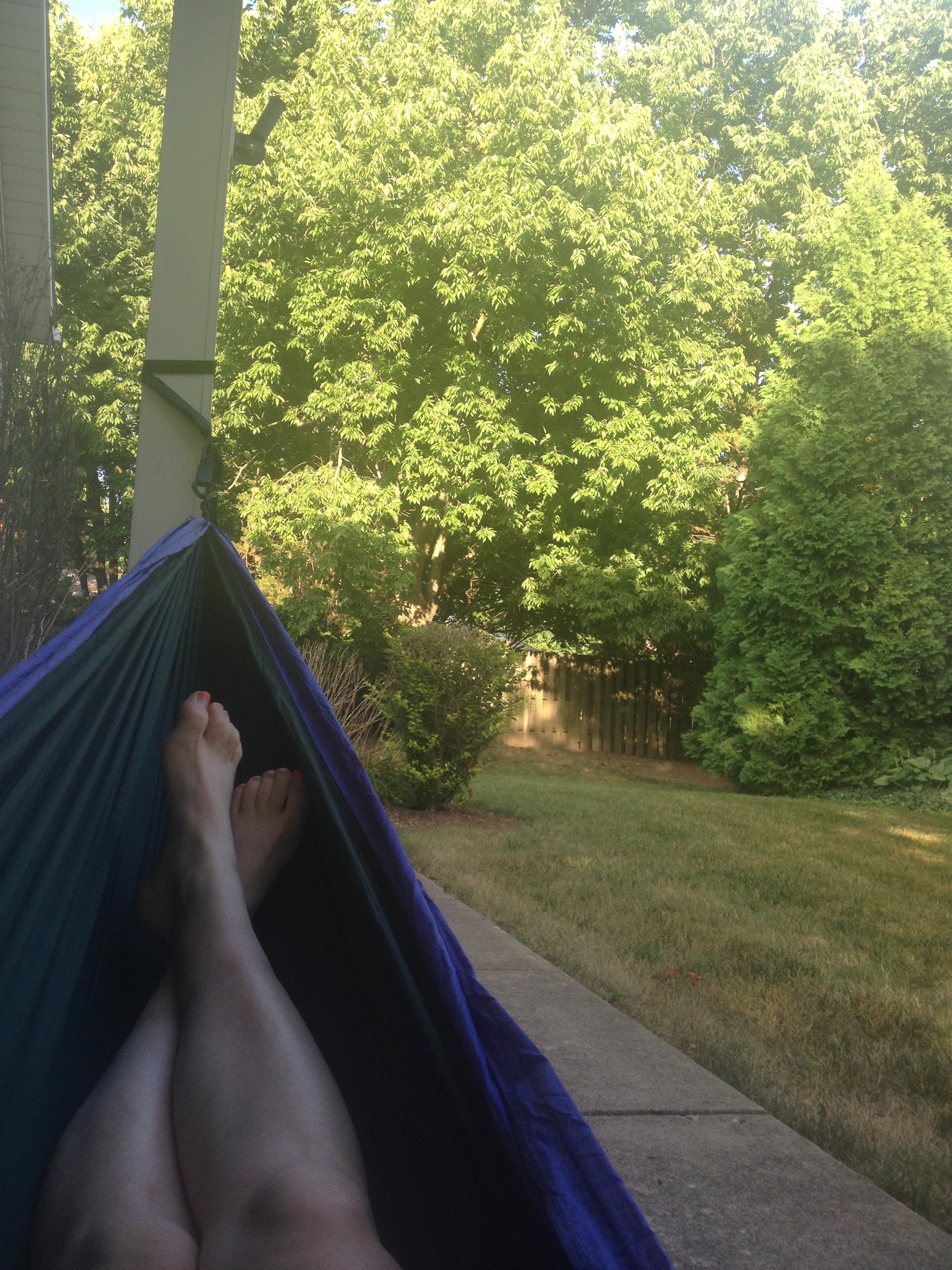 View from hammock.