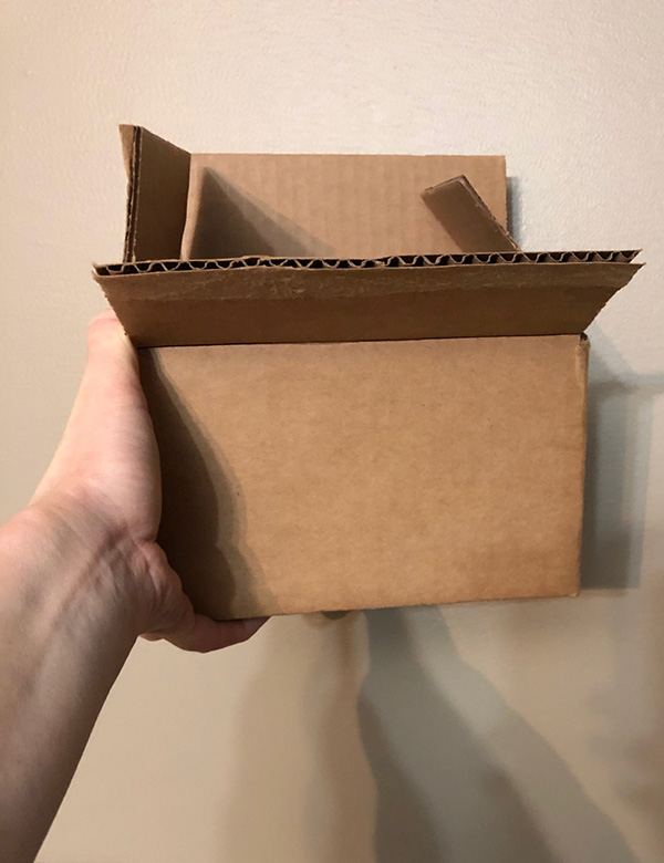 Hand holding box