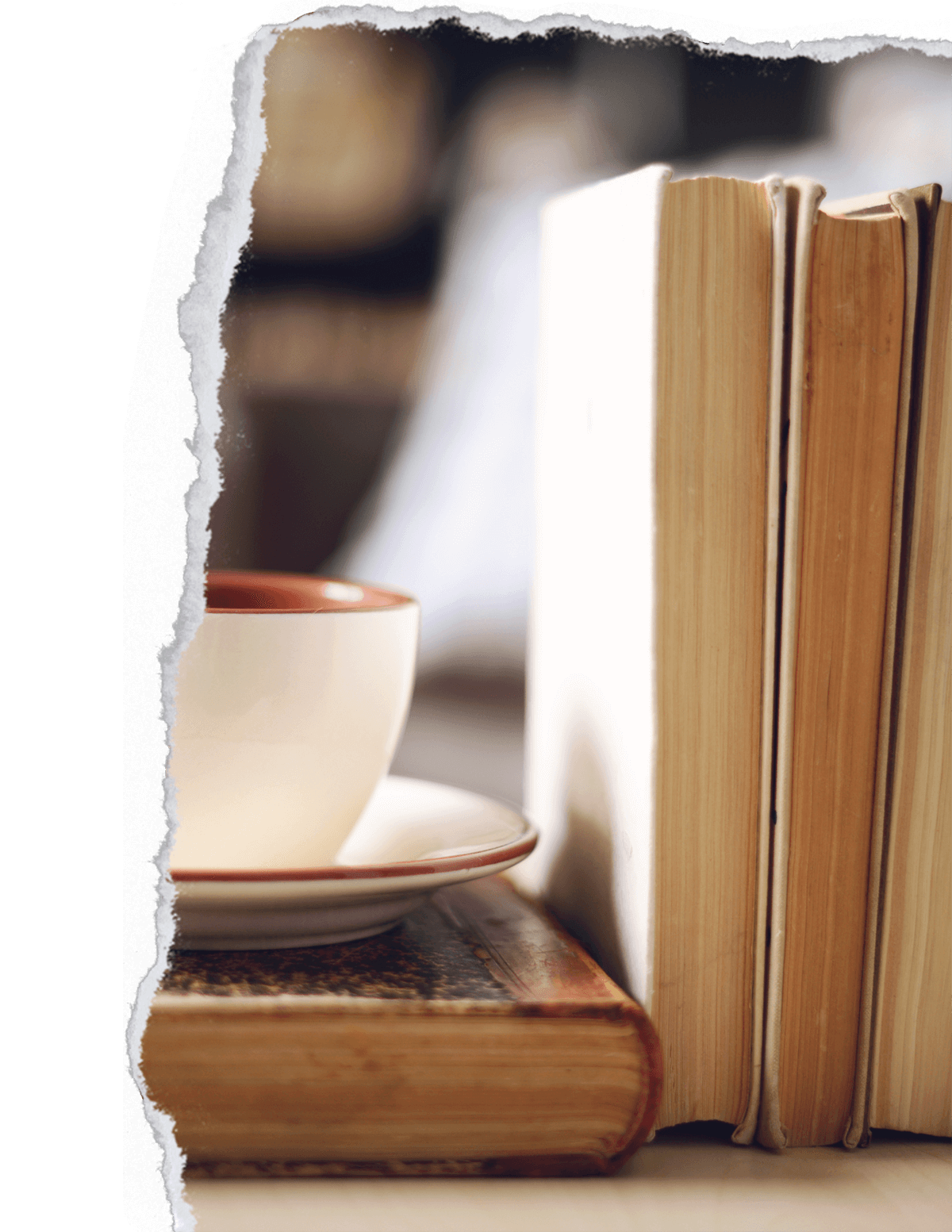 Tea and Books The Mustard Patch mustardpatch.org