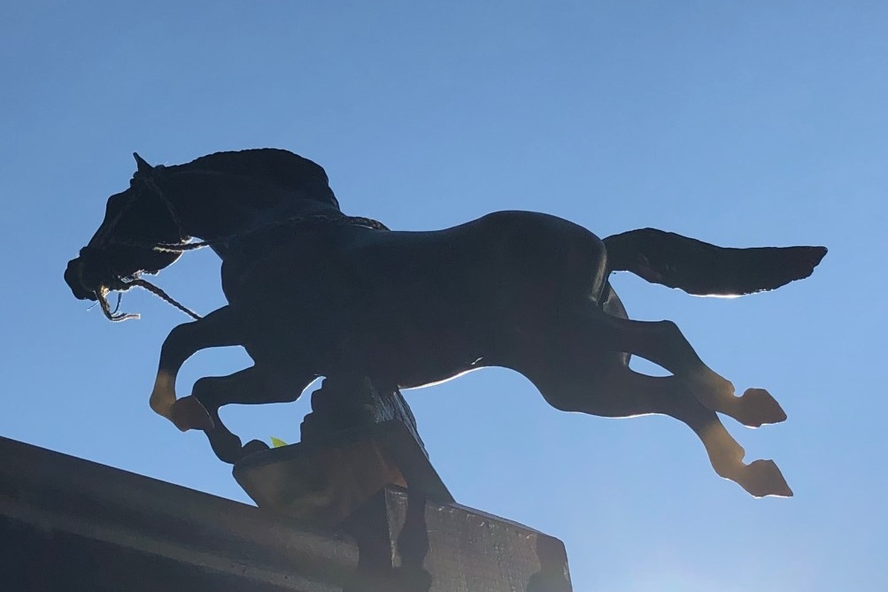 Horse & Sky Cropped