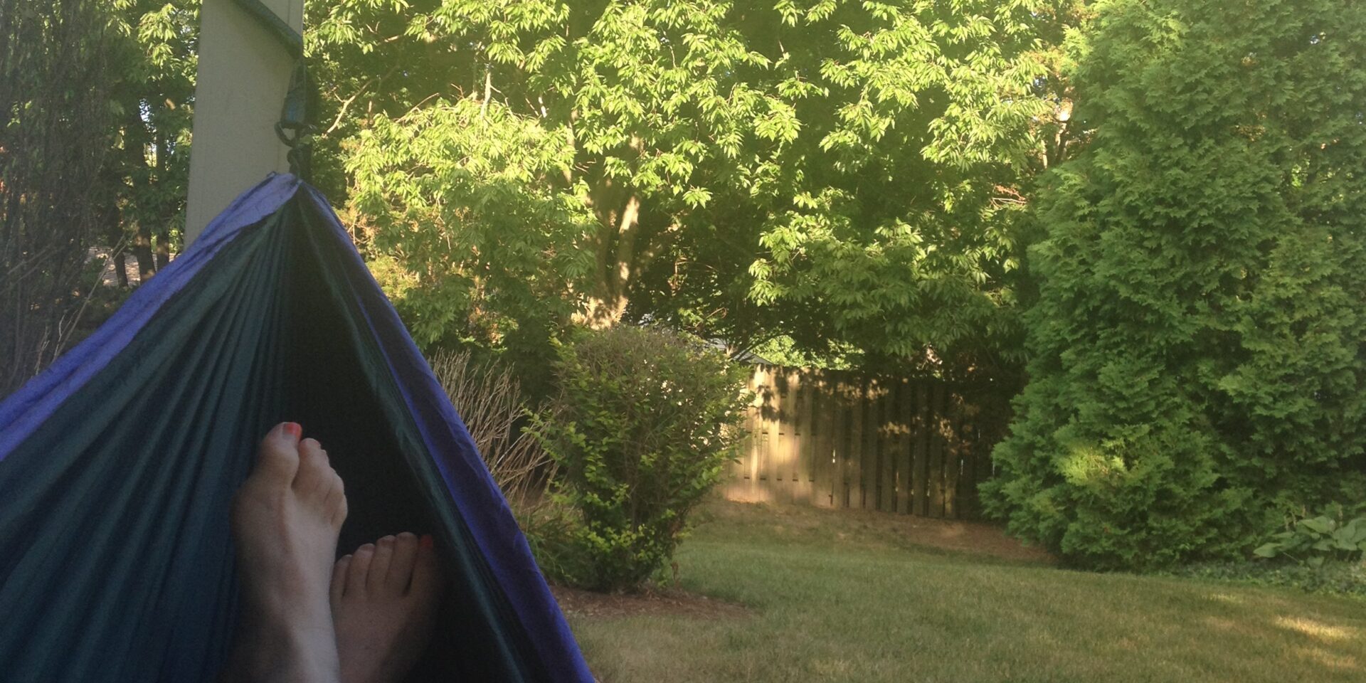 View from hammock.